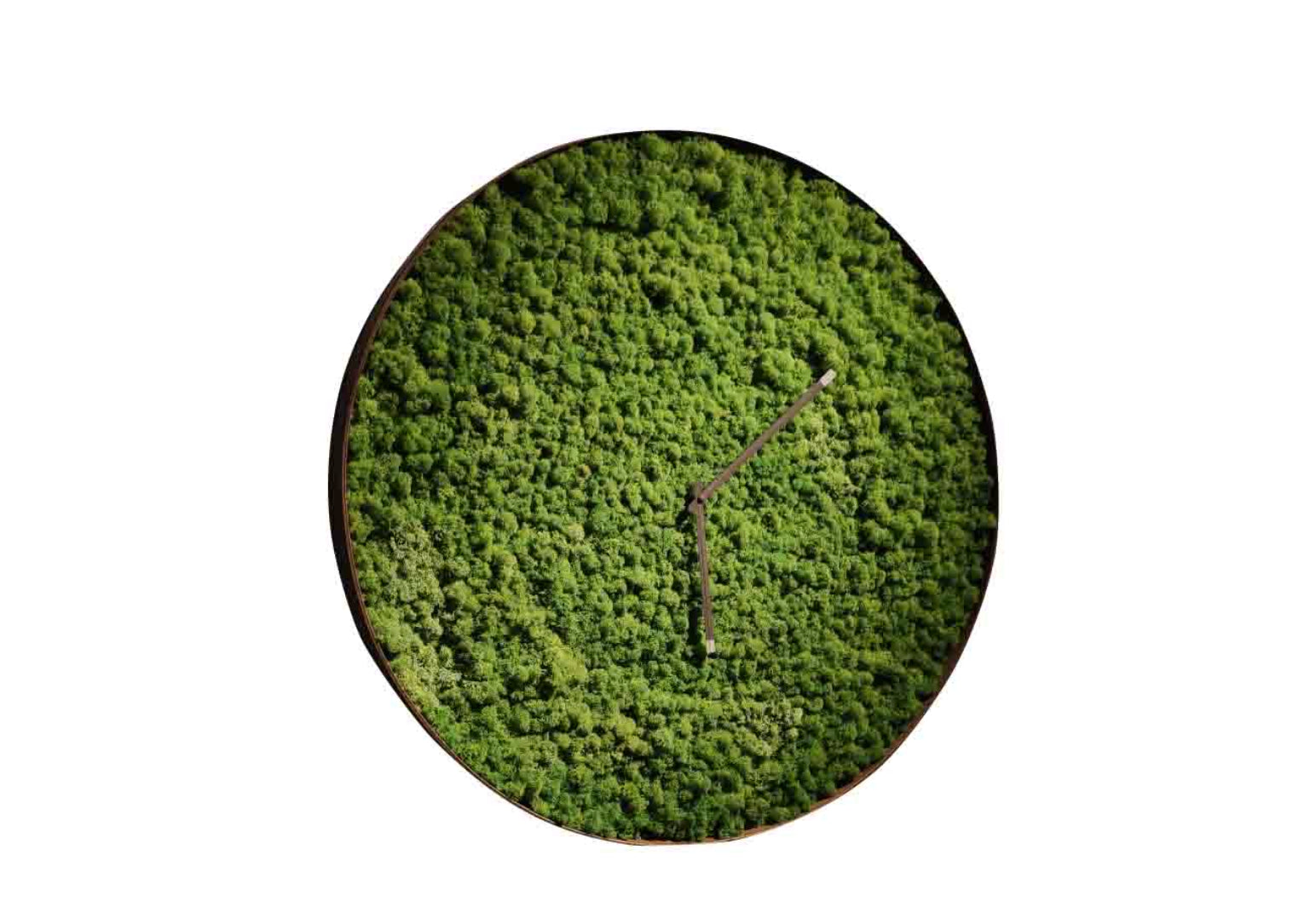 Moss Clock